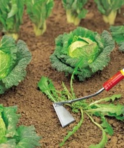 Wolf Garten Garden Tools & Axes WOLF-Garten Multi: Swoe Weeder