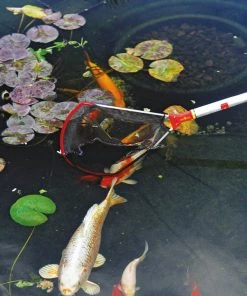 Wolf Garten WOLF-Garten Multi: Catching Net Garden Tools & Axes