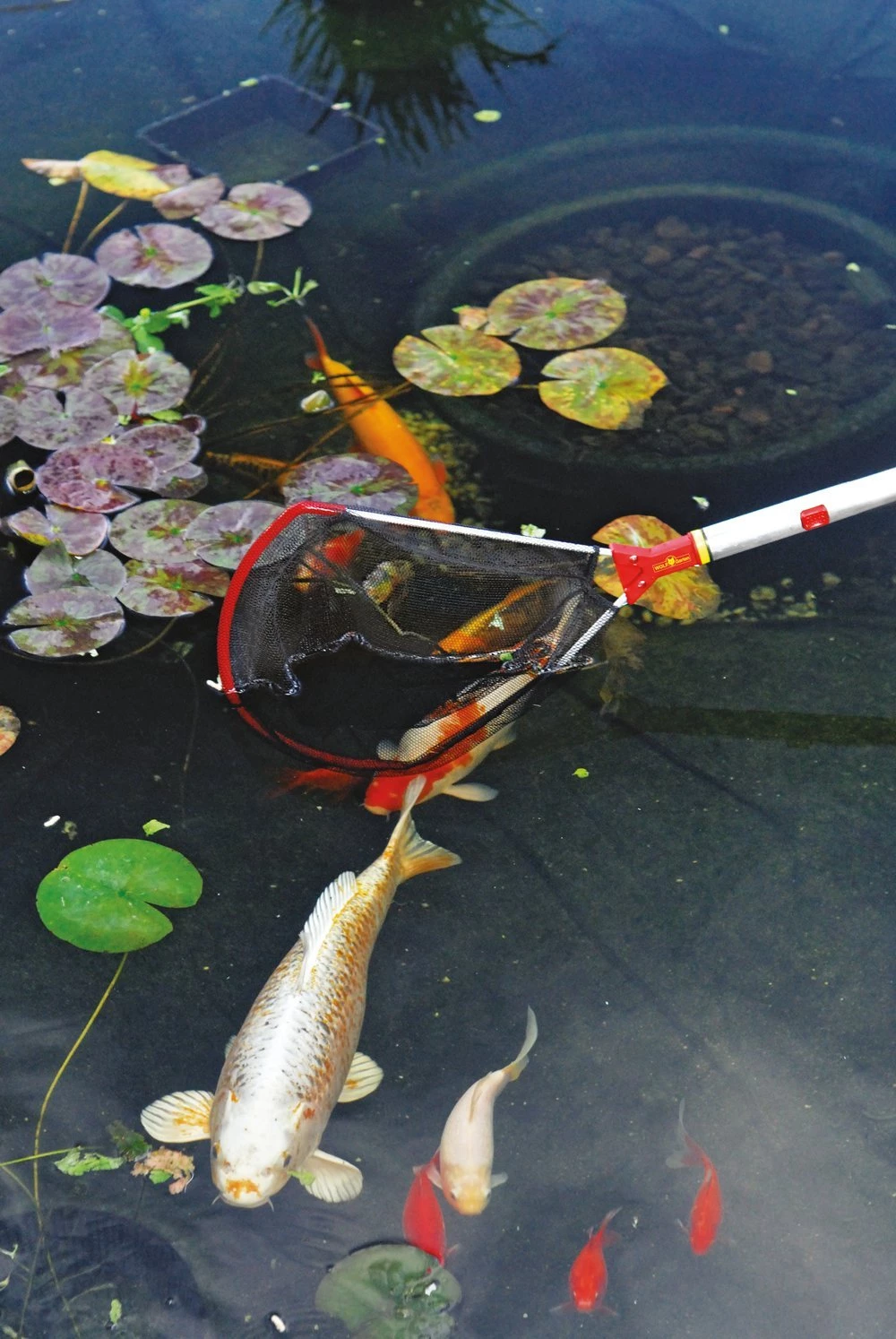 Wolf Garten WOLF-Garten Multi: Catching Net Garden Tools & Axes 4 Wolf Garten WOLF-Garten Multi: Catching Net Garden Tools & Axes