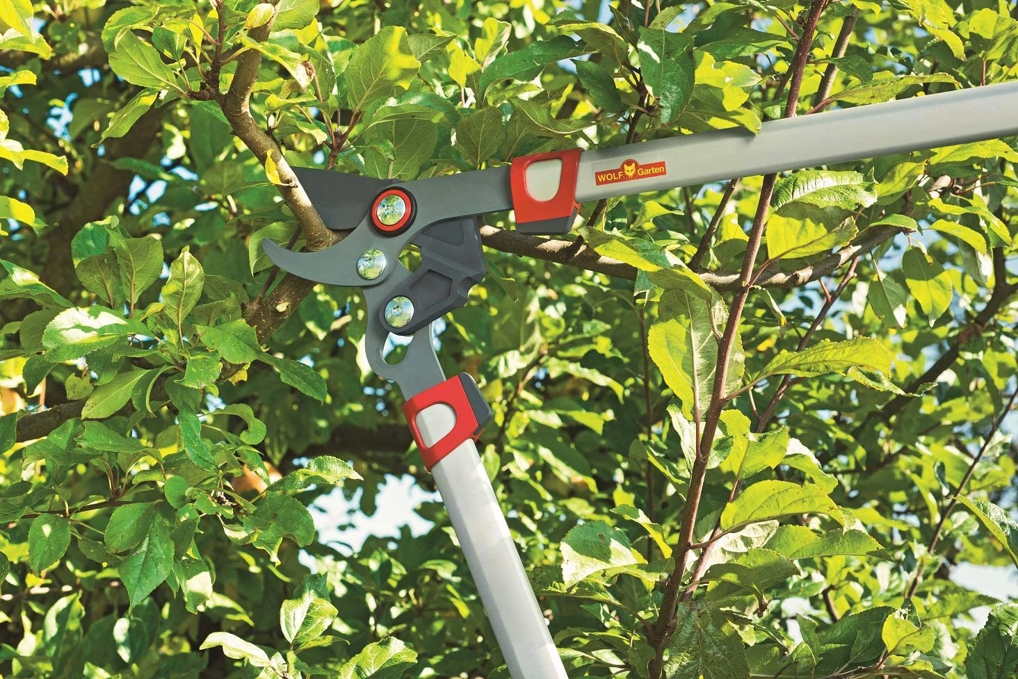 Wolf Garten WOLF-Garten Power Cut Bypass Lopper: Comfort Plus 4 Wolf Garten WOLF-Garten Power Cut Bypass Lopper: Comfort Plus