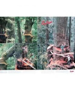 No Brand Baileys Poster Books For Arborists