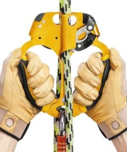 SPELEAN Petzl Ascentree Ascenders & Descenders