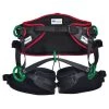 Teufelberger TreeMOTION EVO Arborist Harness 2 Teufelberger TreeMOTION EVO Arborist Harness